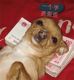 搞笑动态图片-被炸的图片搞笑动态图片
