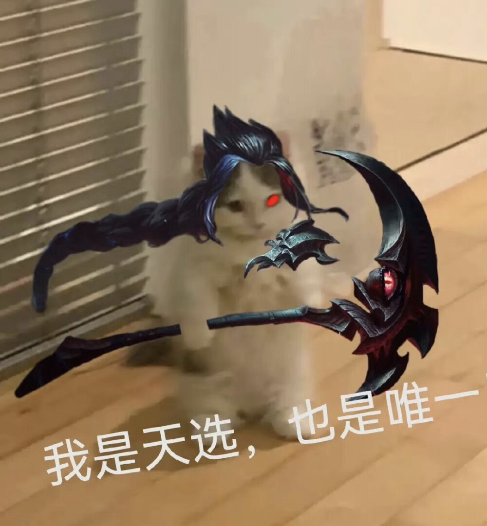lol搞笑-lol搞笑视频全集笑死人