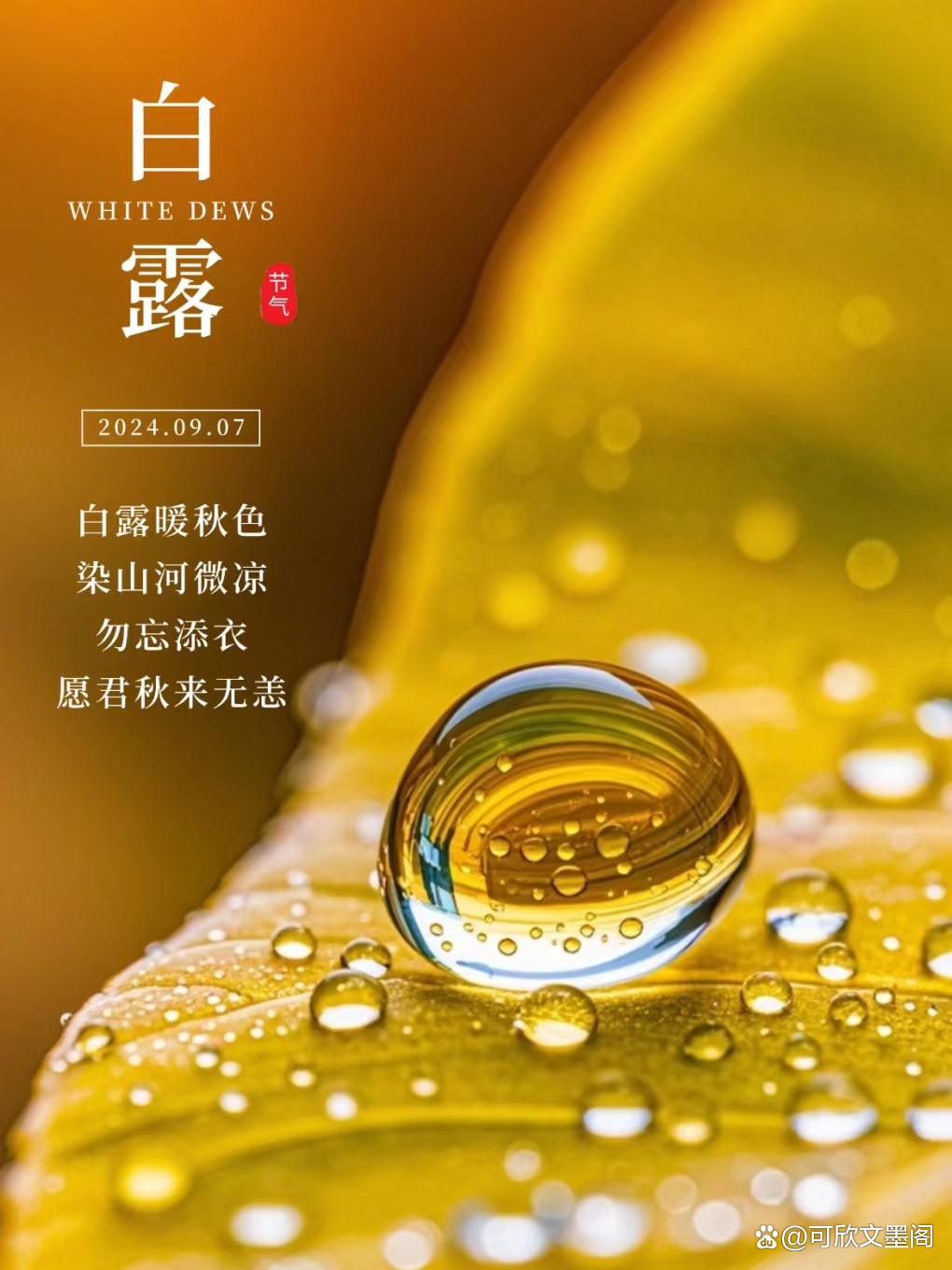 白露祝福语-白露祝福语简短幽默