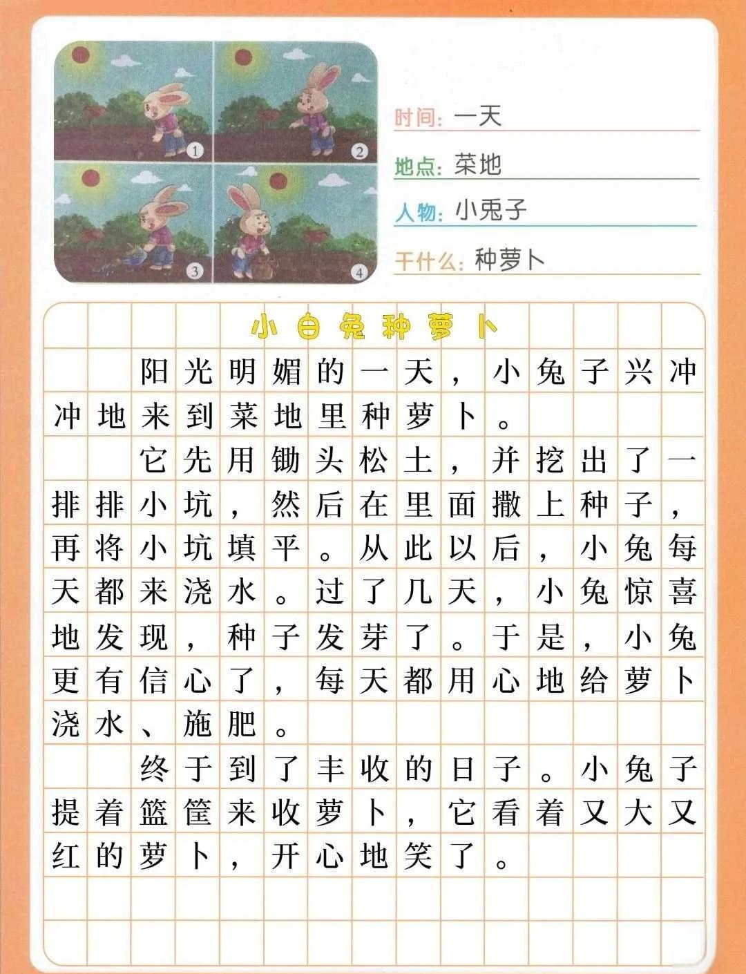 小白兔的笑话-大象和小白兔的笑话