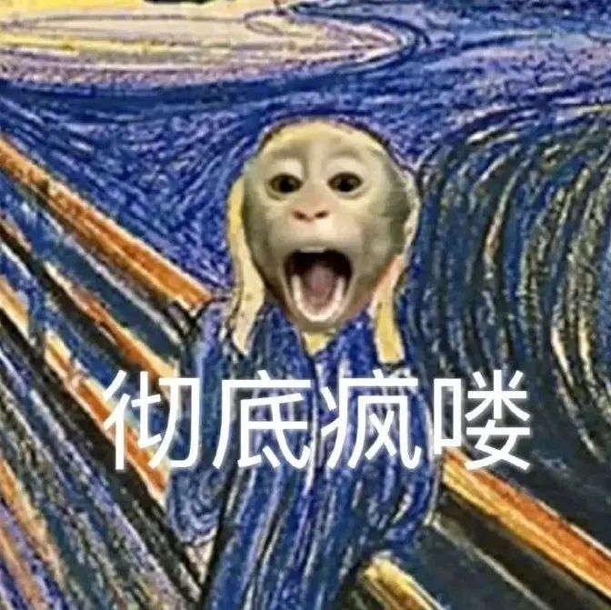 搞笑哦-搞笑哦表情包