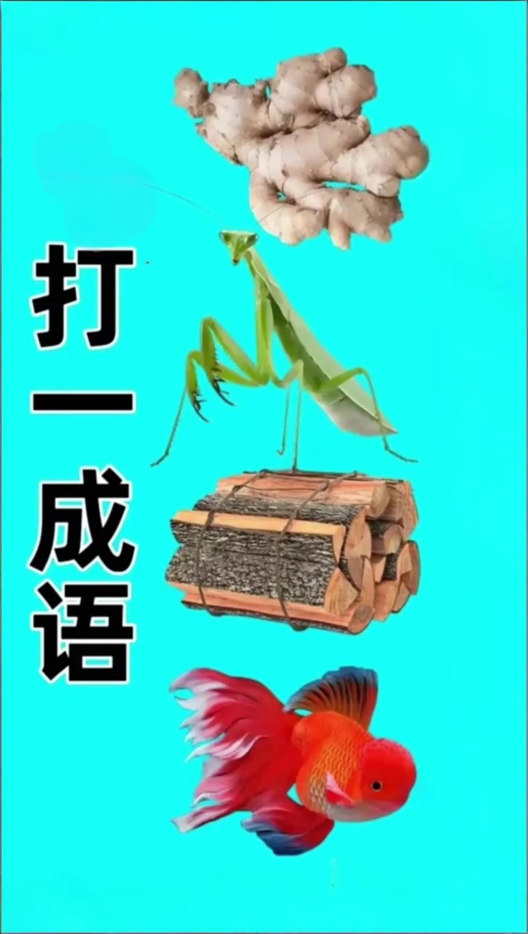 亚打一成语-亚字是什么成语