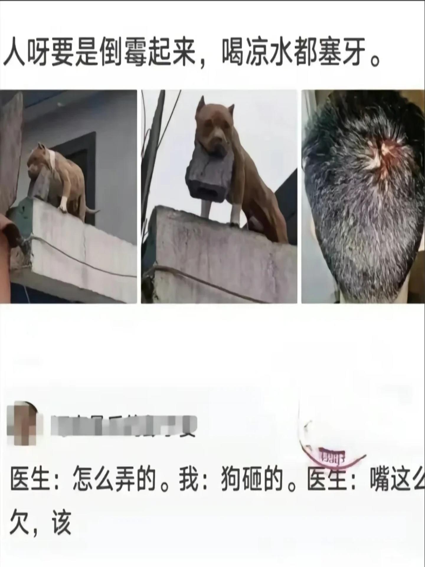 暴笑笑话-爆笑笑话笑死人不偿命