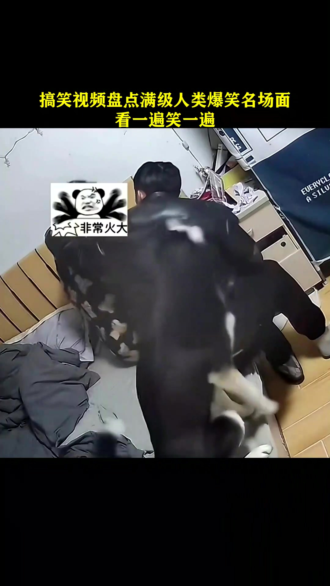 搞笑视频-搞笑视频熊出没