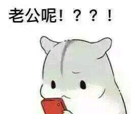 我老公呢的简单介绍