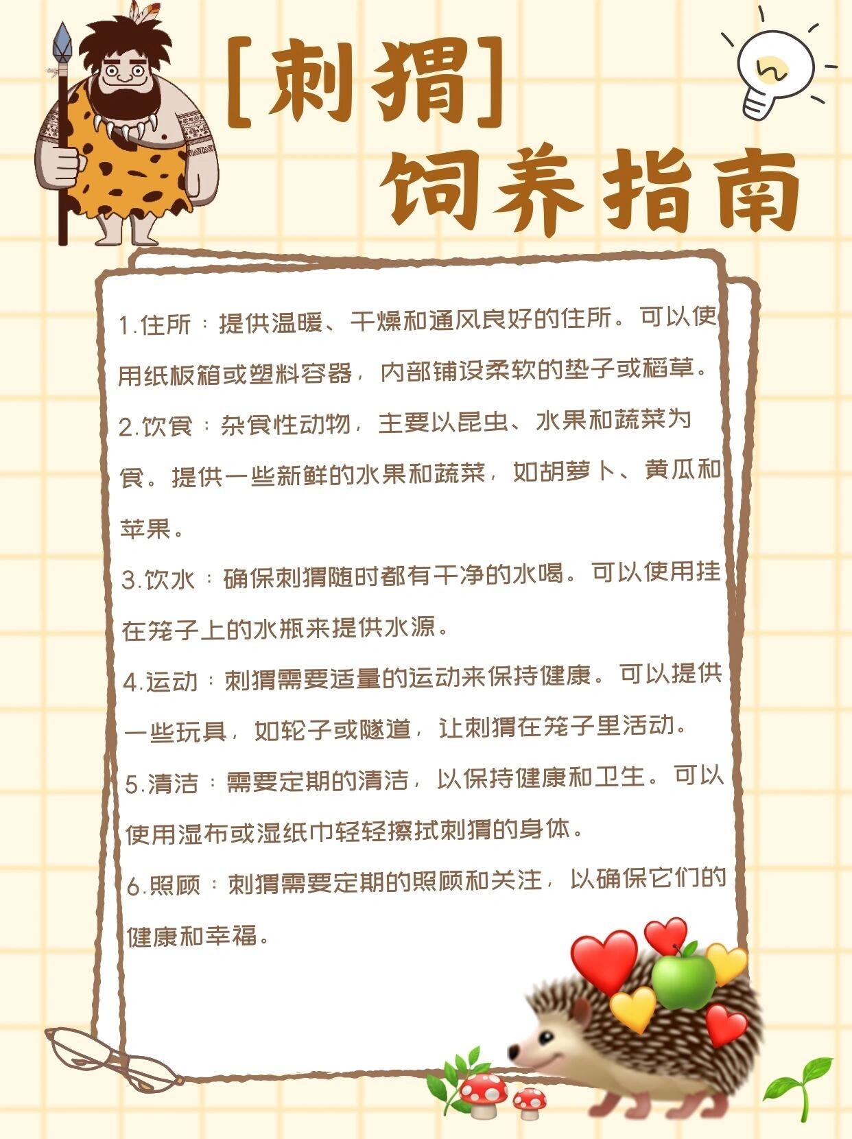 冷笑话刺猬为什么容易怀孕-刺猬为什么容易怀孕脑筋急转弯