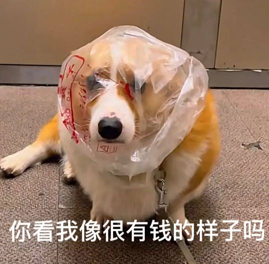 搞笑钞票图片-钞票搞笑图片带字 幽默