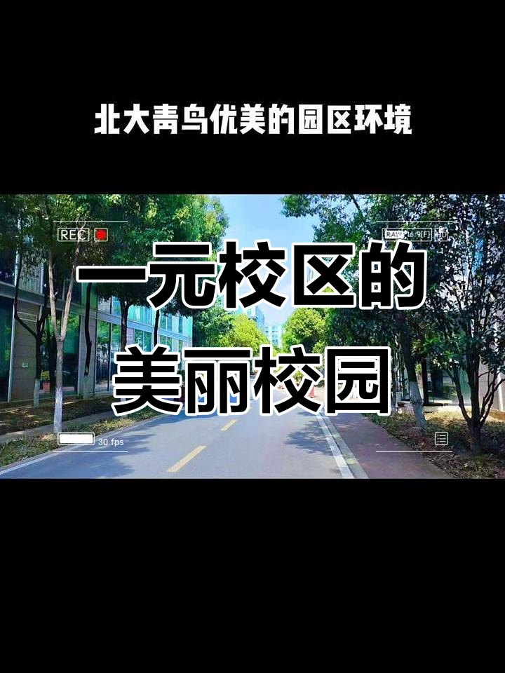 北大青鸟成都校区-北大青鸟成都办事处 北大青鸟成都校区-北大青鸟成都办事处