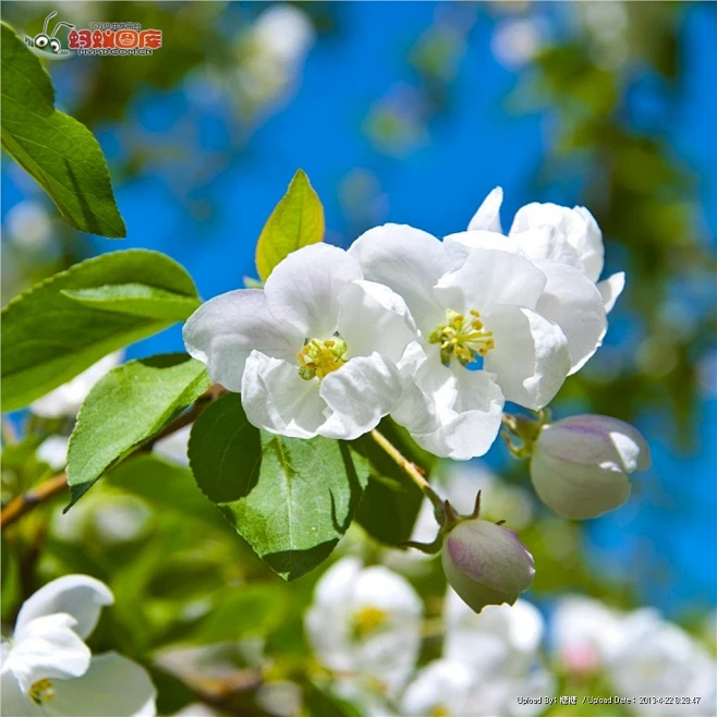 xiaohua-校花陈若雪21至30章免费阅读 xiaohua-校花陈若雪21至30章免费阅读