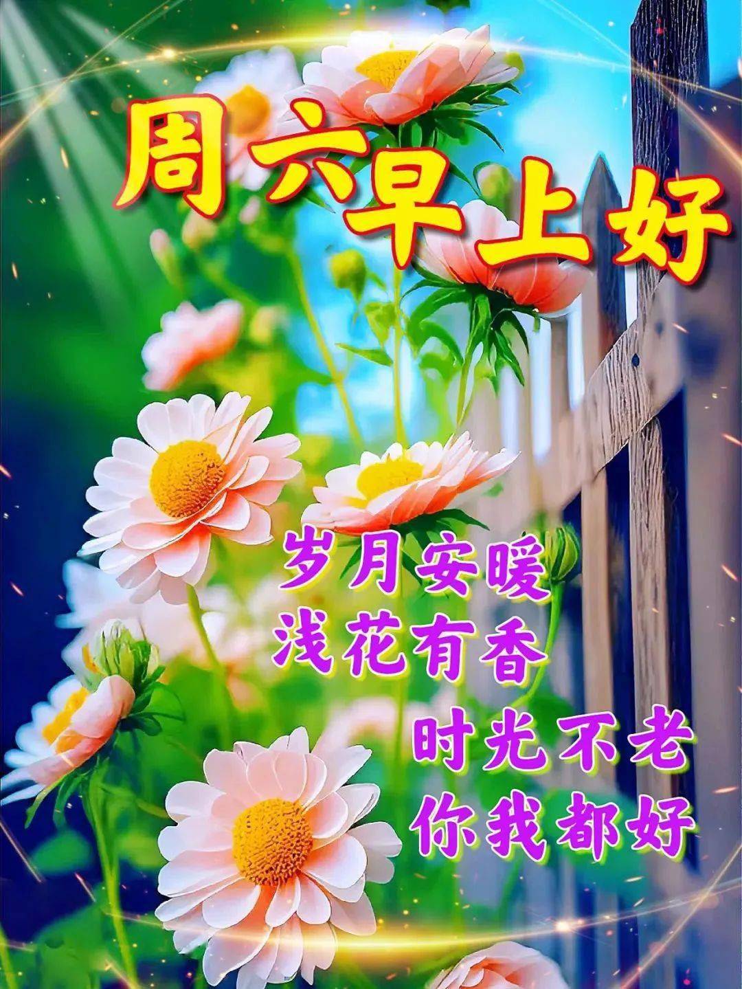 周末祝福信息-周末祝福信息日常问候语
