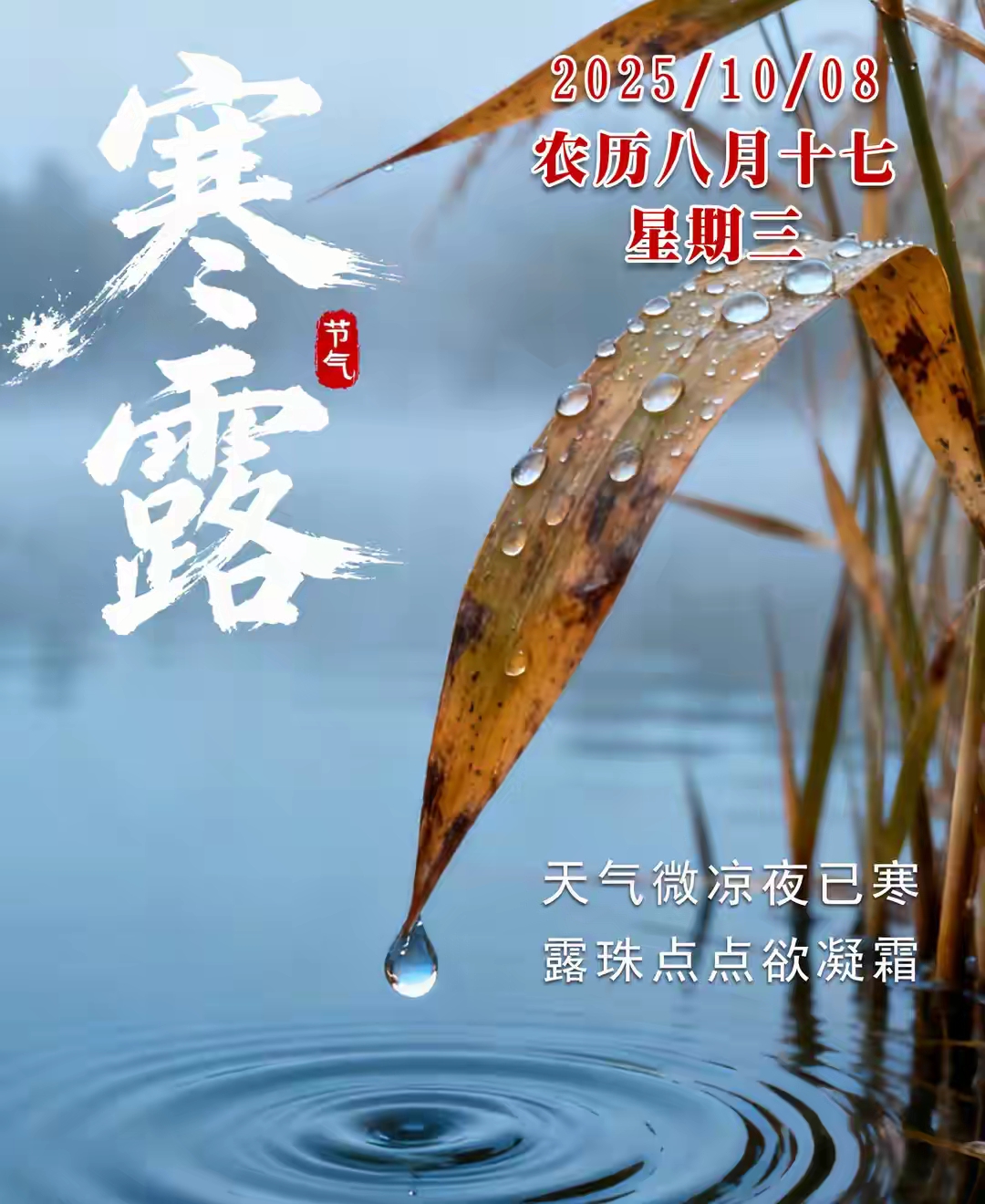 寒露短信-2018寒露节气短信祝福语录