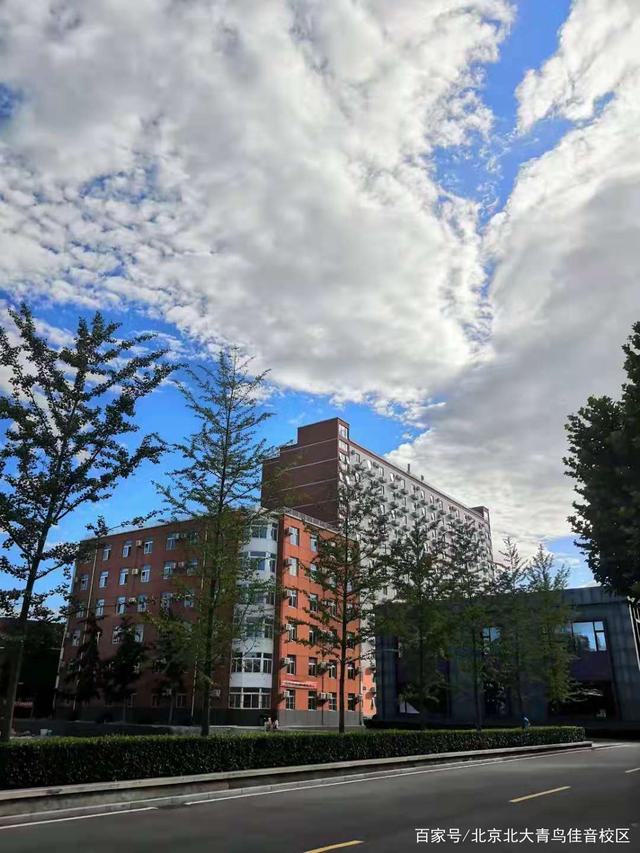 北京北大青鸟-北京北大青鸟有限责任公司