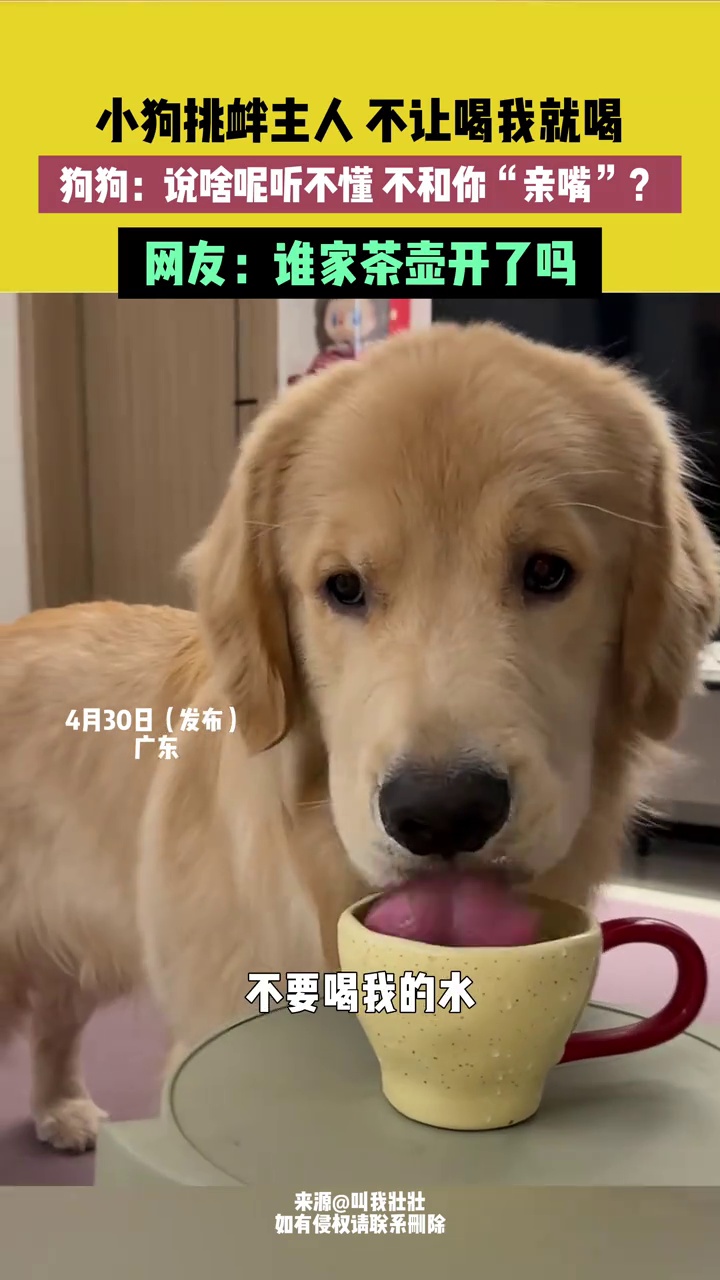 逗乐-逗乐动漫