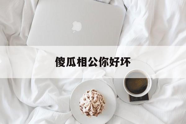 傻瓜相公你好坏-傻王夺嫡1100集免费
